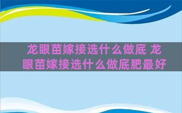 龙眼苗嫁接选什么做底 龙眼苗嫁接选什么做底肥最好